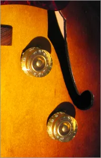 Archtop guitar f-hole